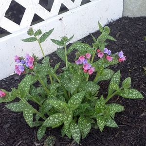 Meet your Posher, Eve